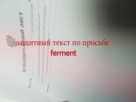 20190711_2034010.jpg
