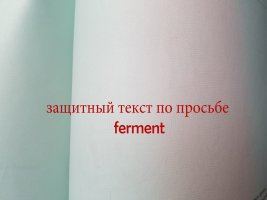 20190711_2034220.jpg