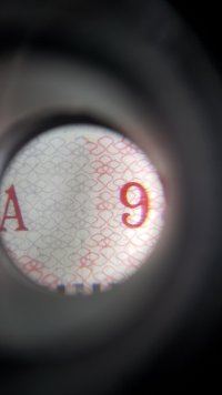261103.jpg