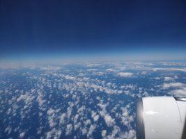 IMG_19.jpg