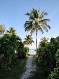 IMG_27.jpg